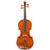 Eastman Giuseppe Galiano VL3G Full Size Violin Outfit with Case and Bow