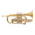 Bach 184 Professional Stradivarius Series Bb Cornet with Shephard's Crook