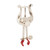 Universal Clamp On Nickel Trumpet Lyre