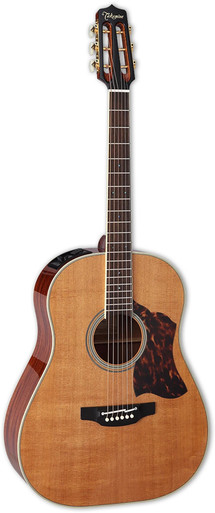 Takamine CRN-TS1 Dreadnought Acoustic-Electric Guitar - Ted Brown