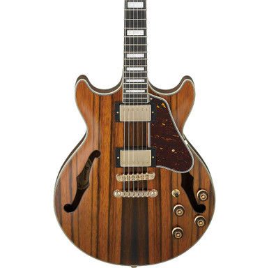Ibanez Artcore Expressionist AM93ME Semi-Hollow Electric Guitar