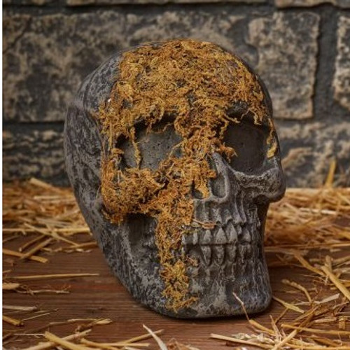 Moss Covered Skull Moss Covered Skull
