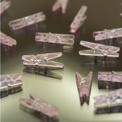 Clear Pink Acrylic Clothes Pin Favors Clear Pink Acrylic Clothes Pin Favors