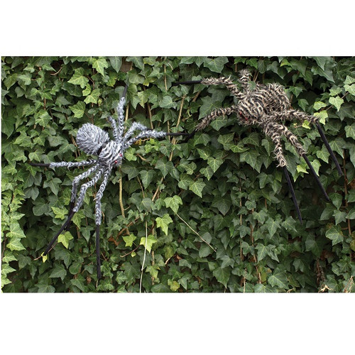 Fuzzy Spider