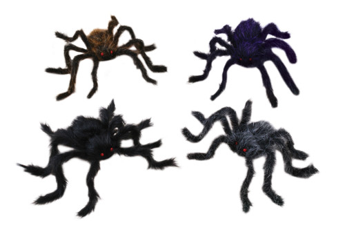 Hairy Spider