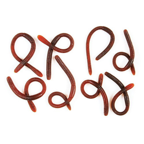 Bag O Worms