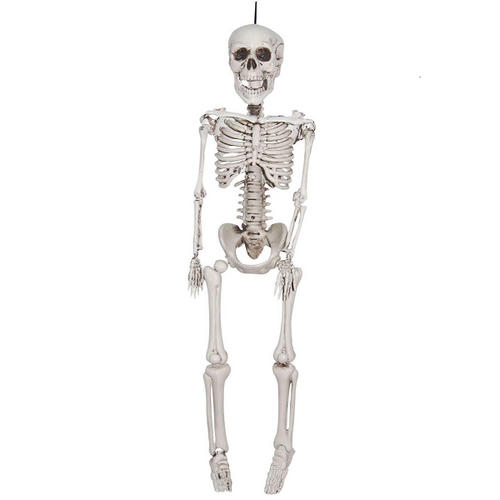 Small Plastic Skeleton Prop