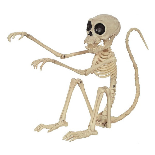Skeleton Monkey Skeleton Monkey
