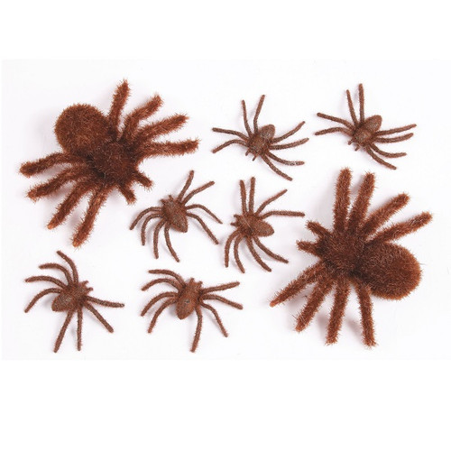 Brown Fuzzy Spider Family