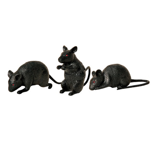 Mini Black Mice