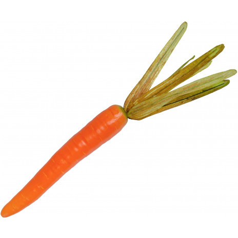 Orange Foam Carrots