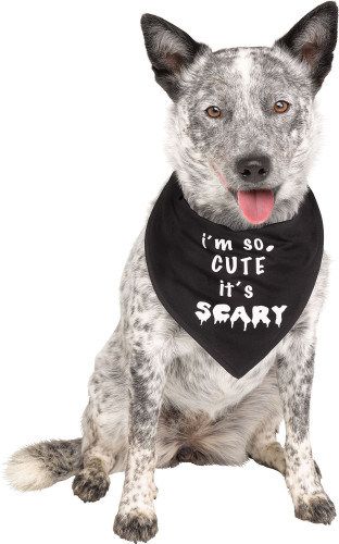 So Cute it's Scary Pet Bandana. This black polyester bandana features white text that says "i'm so CUTE it's SCARY." Small/Medium fits roughly size 11-27lbs. Large/XLarge fits roughly size 30-75lbs.