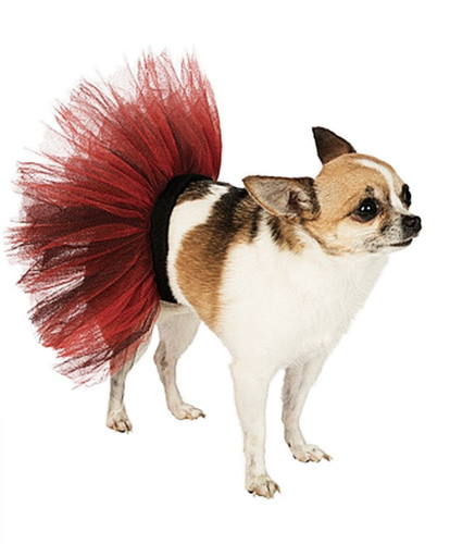 Red and Black Pet Tutu. Made with layered red and black tulle, it creates a deep red look. It has a black ribbon tie to adjust for size. Size available in Medium/Large, which is recommended for breeds such as Retrievers, Labradors, Dalmatian, Springer Spaniel, Schnauzer, Bulldog, Boxer, German Shepherd, pit bull, and Weimaraner.