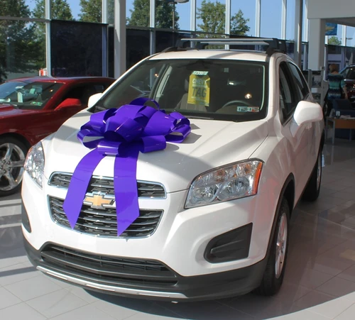 This Purple Car Bow is made of weather resistant PVC with a scratch proof suction cup base. It includes two ribbon tails measuring 30in x 5in.