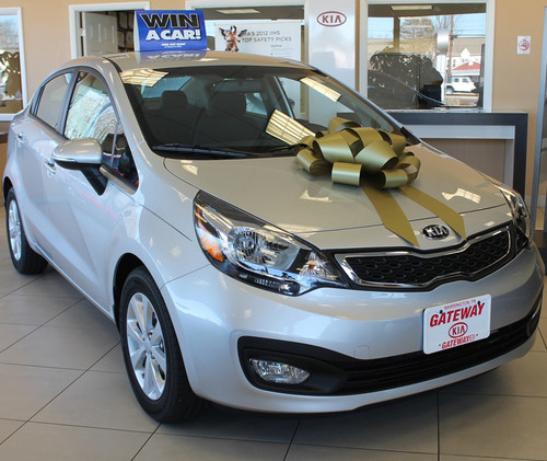 This Gold Car Bow is made of weather resistant PVC with a scratch proof suction cup base. It includes two ribbon tails measuring 22in x 5in.