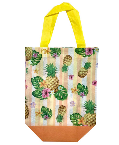 Summer Theme Reusable Plastic Bags - Pineapple. These plastic bags feature various summery designs inspired by fruit, such as watermelon, pineapple, papaya, and citrus. Desired style not guaranteed. Package includes 2 count bags measuring 9in x 8.25in x 4.25in.