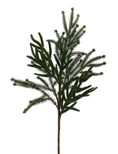 Willow Norfolk Pine Spray. This decorative spray features several plastic branches resembling that of a willow fir. Measures 24in.