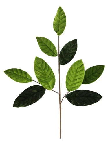 Velvet Magnolia Leaf Spray - Green. This spray features a brown branch style stem with two tone green polyester velvet magnolia leaves. Measures 24in.