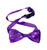 Halloween Pet Bow Tie - Purple with bats and spider webs. Adjustable buckle fastener.