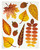 Autumn Cling Stickers - Set 1 Leaves 10 Stickers. These sticker clings feature leaves and acorns in warm fall colors. Sheet measures 14.5in x 11.5in with 10 stickers of various shapes and sizes.