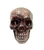 Bloody Tabletop Skull. This natural color plastic skull features a splatter of red across the front. Measures 4in.