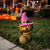 Light-Up Cat with Witch Hat Figure. This plastic blow mold figure of a sitting black cat wearing a purple witch hat features a warm LED glow. Requires 3 AA batteries, not included. Measures 11in tall x 5in wide x 4.25in thick.