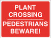 Plant Crossing Pedestrians Beware