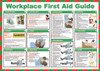 Workplace First Aid Guide Safety Poster