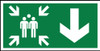 Assembly point down sign