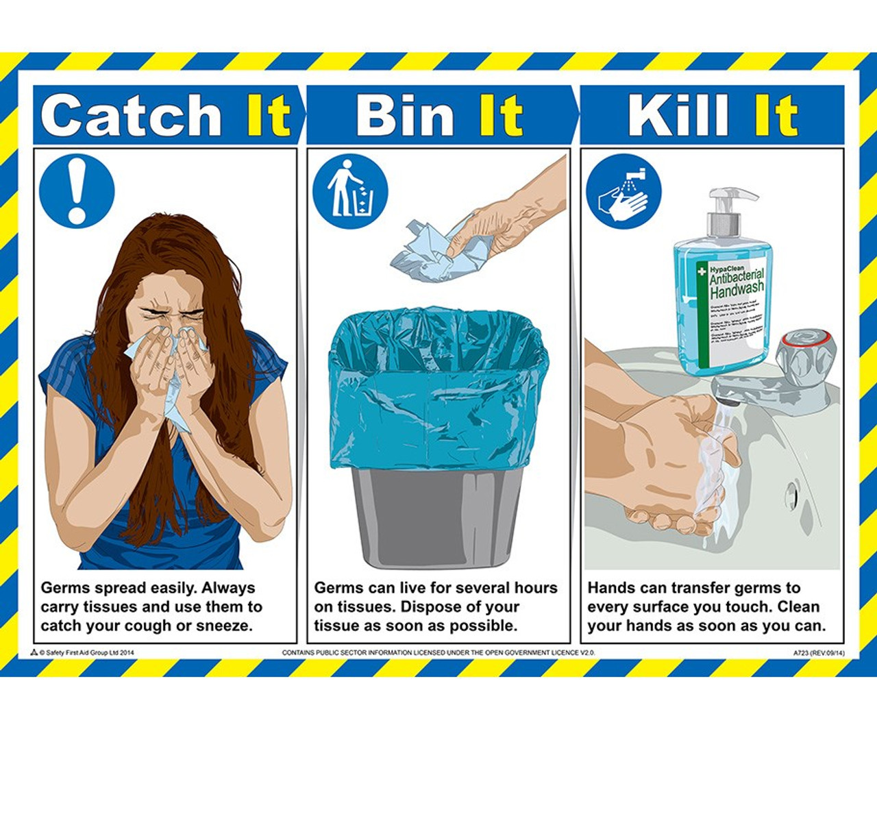 Catch it, Bin it, Kill it poster