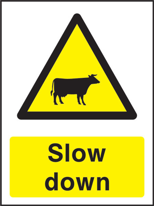 Cattle Slow Down