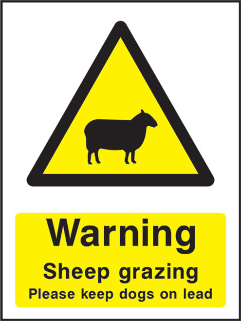 Warning Sheep Grazing