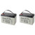 Ion Power+ Sump Pump Backup Batteries (Qty 2)