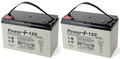 Power Plus Sump Pump Backup Batteries (Qty 2) (P20397)