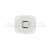 iPhone 5C/5 Home Button (White)
