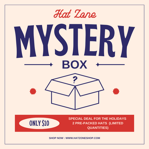 $10 Holiday Mystery Box : 2- Dad Hats + 1- Beanie (3 Items)
