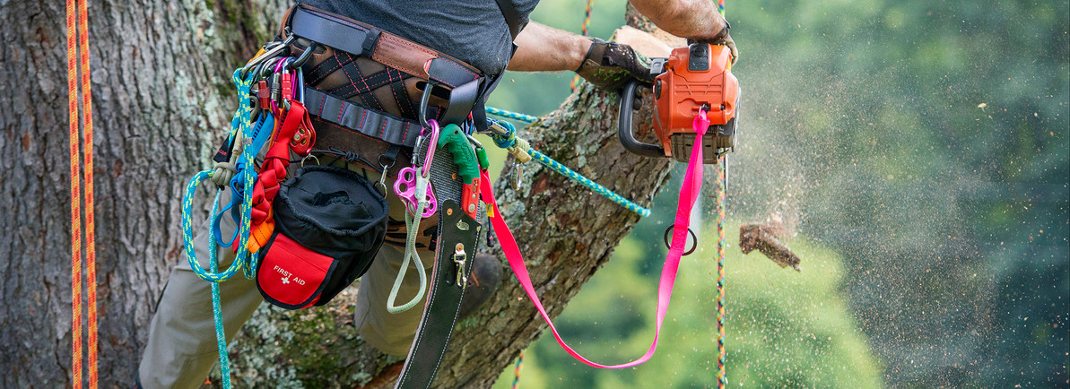 What do lumberjacks use to climb trees?