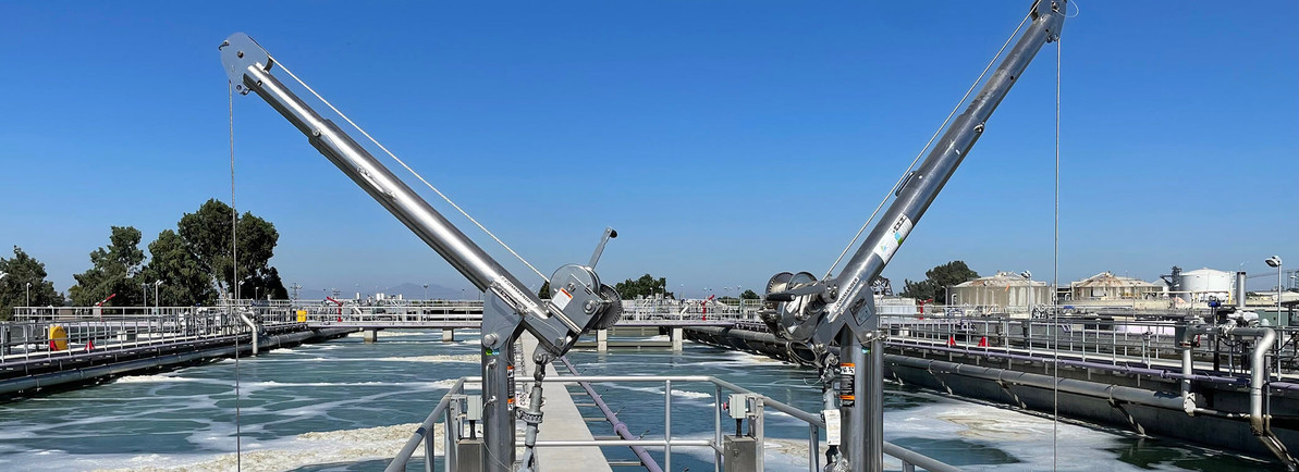 What is a davit crane?