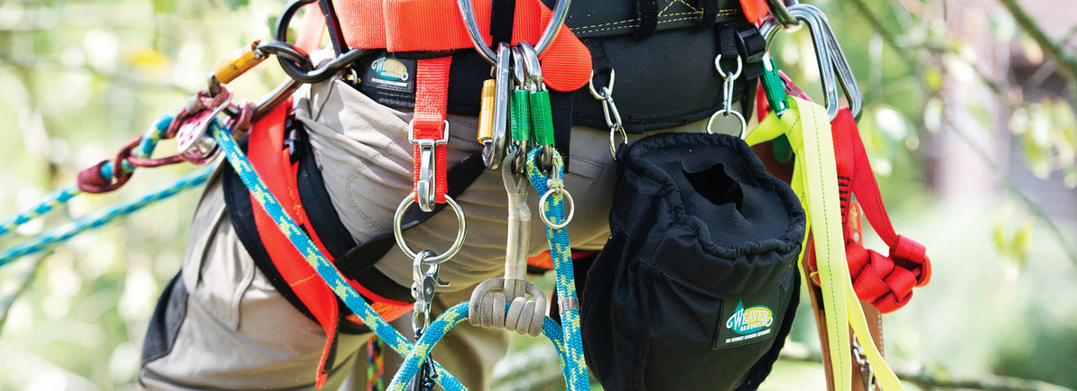 What should be worn when climbing a tree?