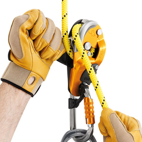 Petzl Rig Descender - #D021AA00