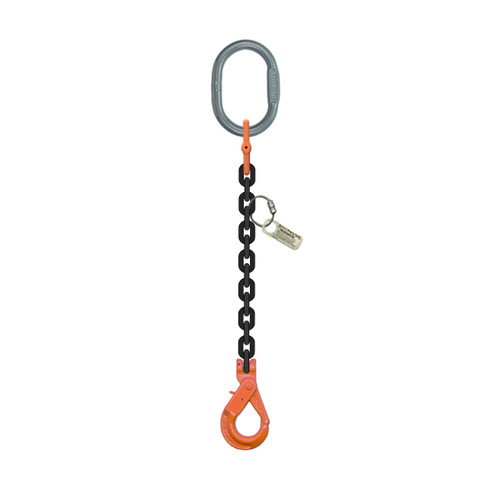 Grade 100 Single-Leg Chain Sling with Master & Self-Locking Hook