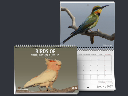 Australian Birds of Western Queensland 2027 Calander - Pre-Order