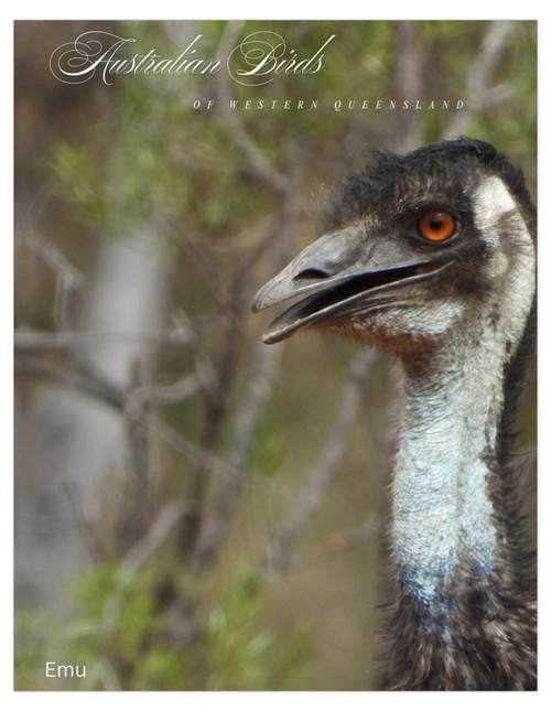 Emu Australian Birds Of Western Queensland Cards