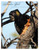 Yellow-tailed black Cockatoo Australian Birds Of Western Queensland Cards