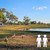 Unpowered - Dam Site - 2 Adults (Limited Sites)