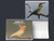 Australian Birds of Western Queensland 2027 Calander - Pre-Order