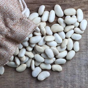 Bulk Dried White Kidney Beans - 25lbs Bulk Dried White Kidney Beans - 25lbs