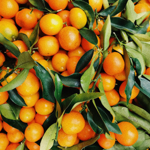 Clementines