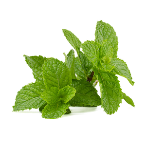 Mint Mint