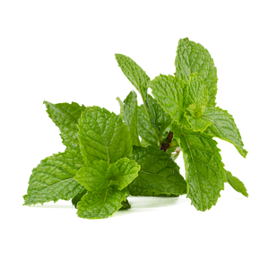 Mint Mint